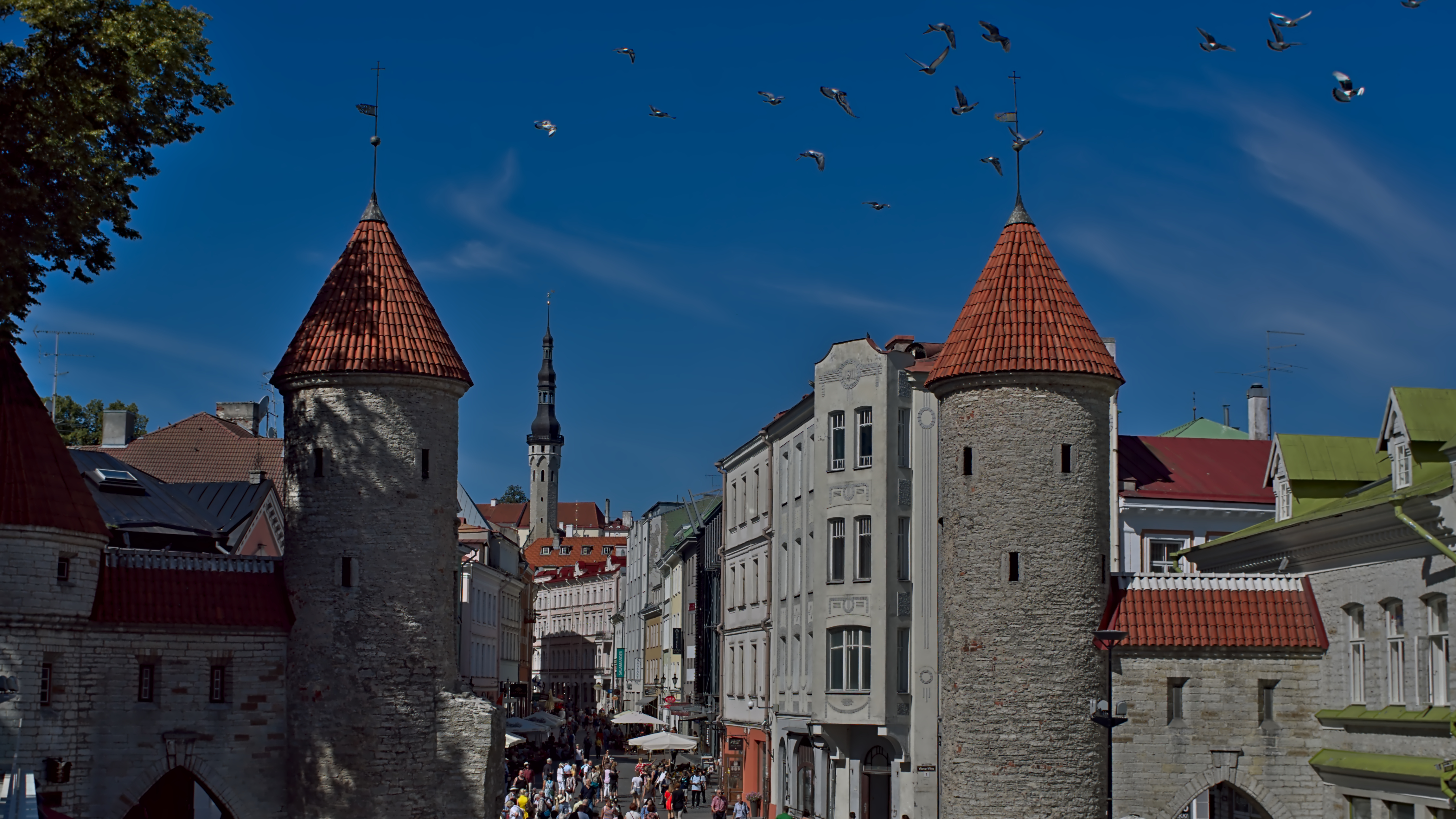 Tallinn gates