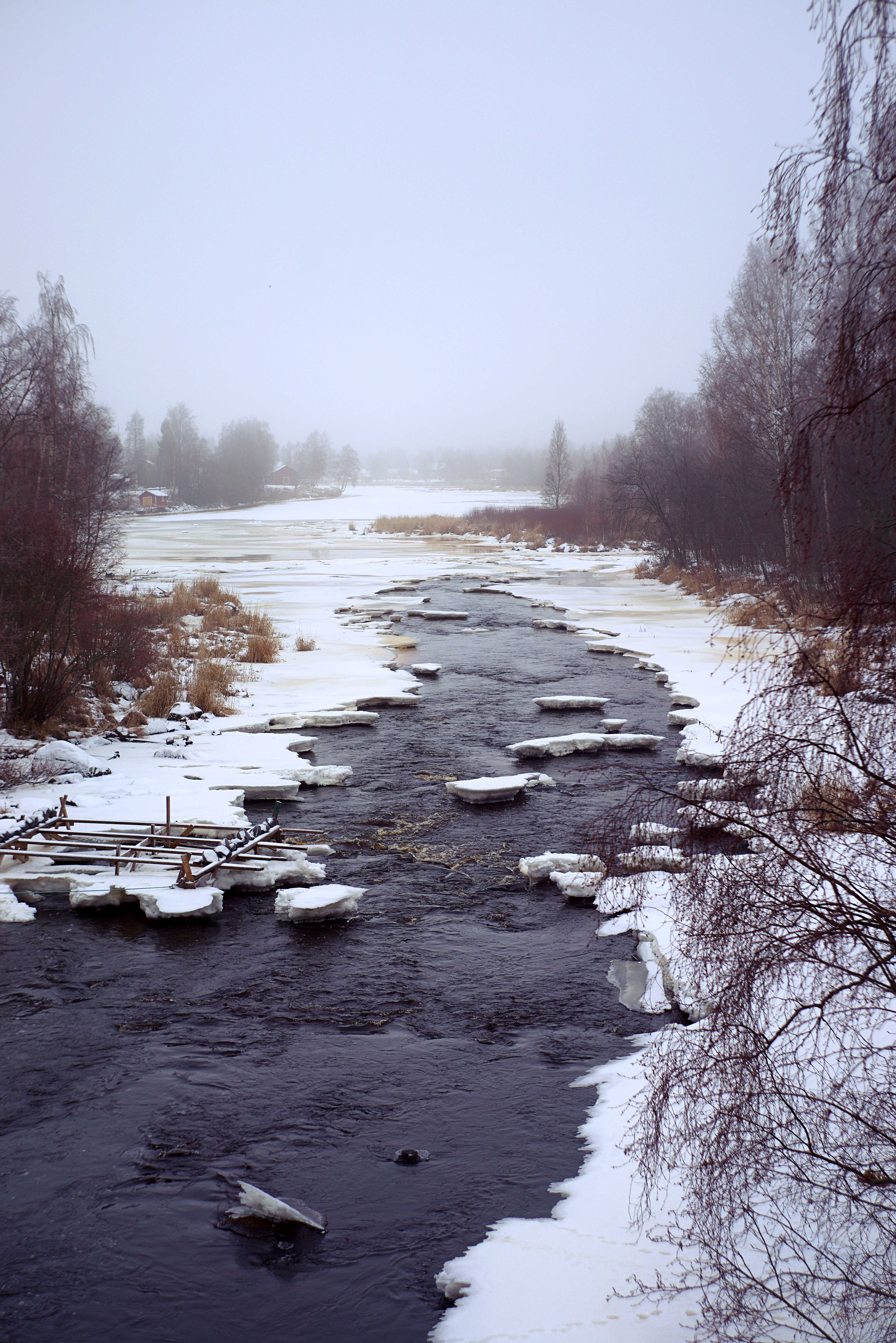 a7r with Helios 44-M