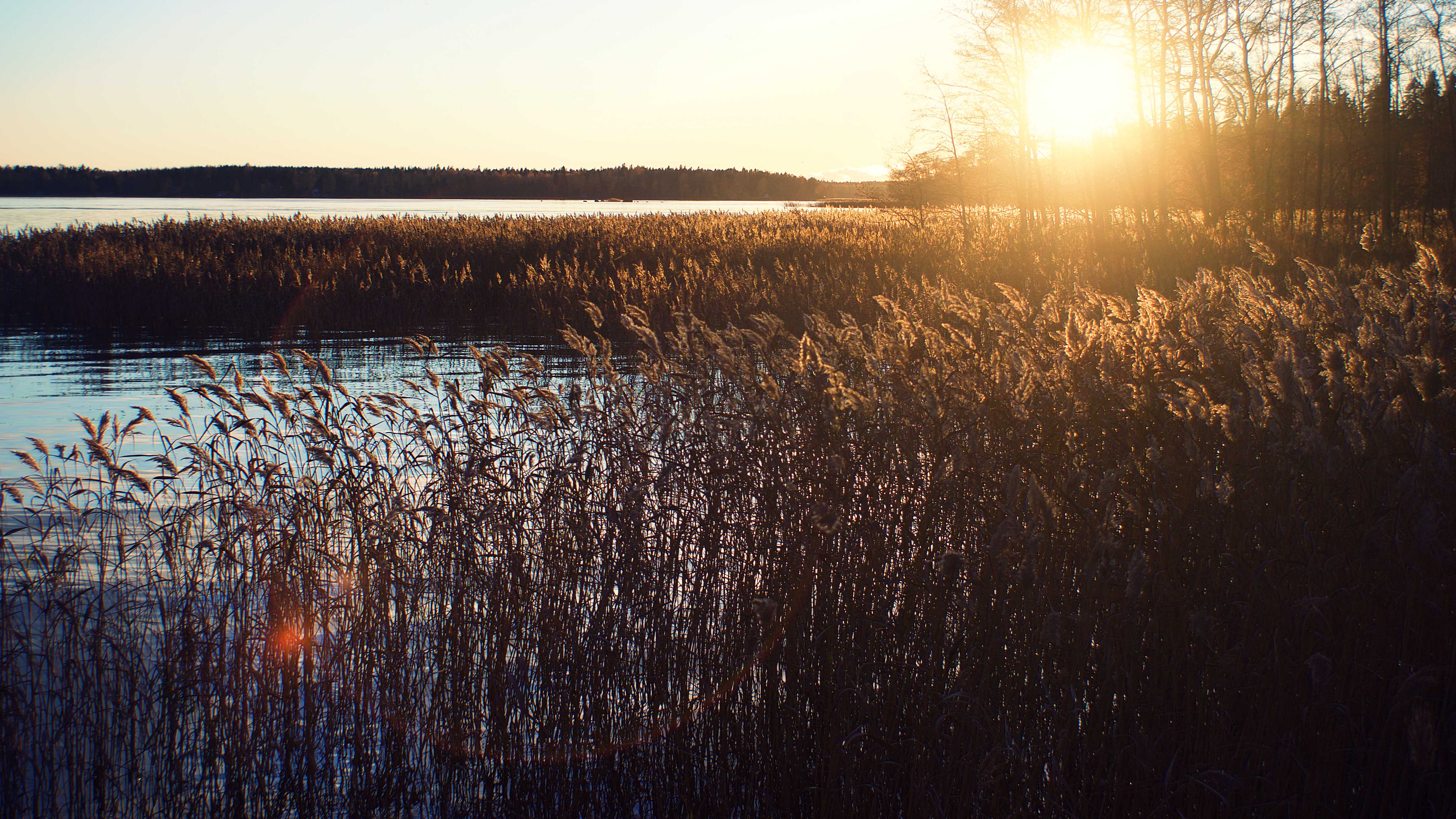 evening against the sun