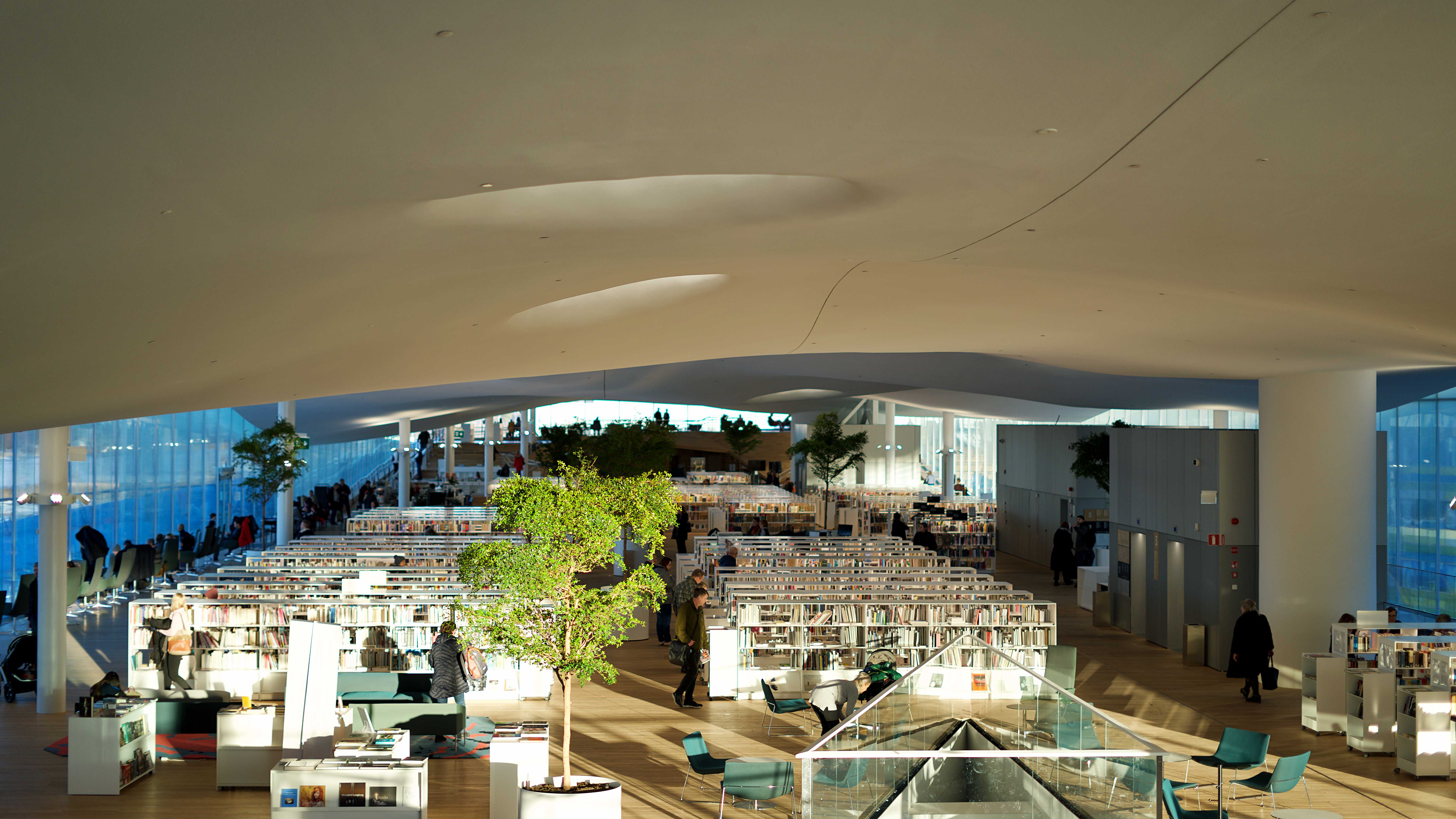 Sony 50mm Oodi library 2