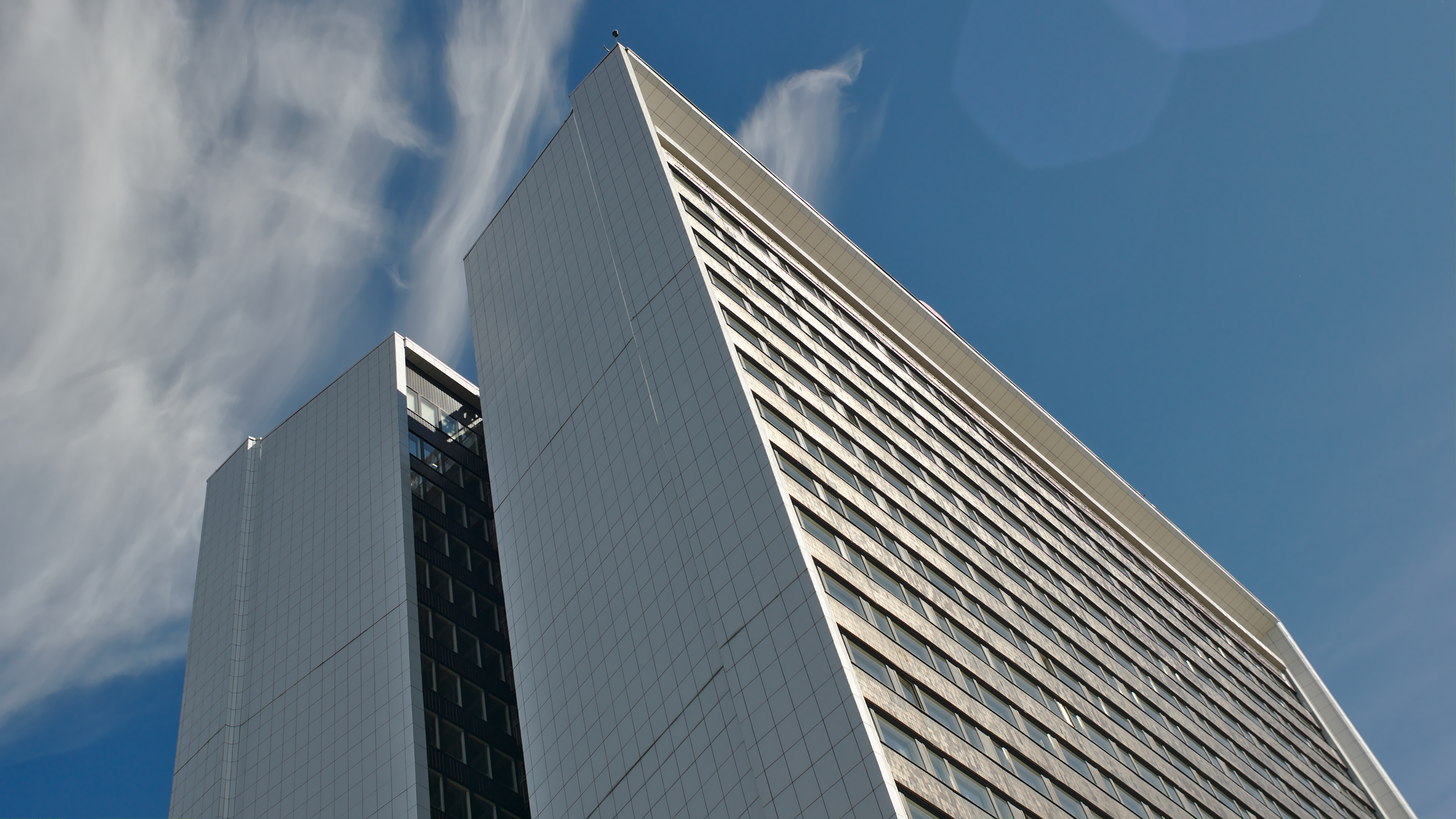 Copyright Hill & Spruce