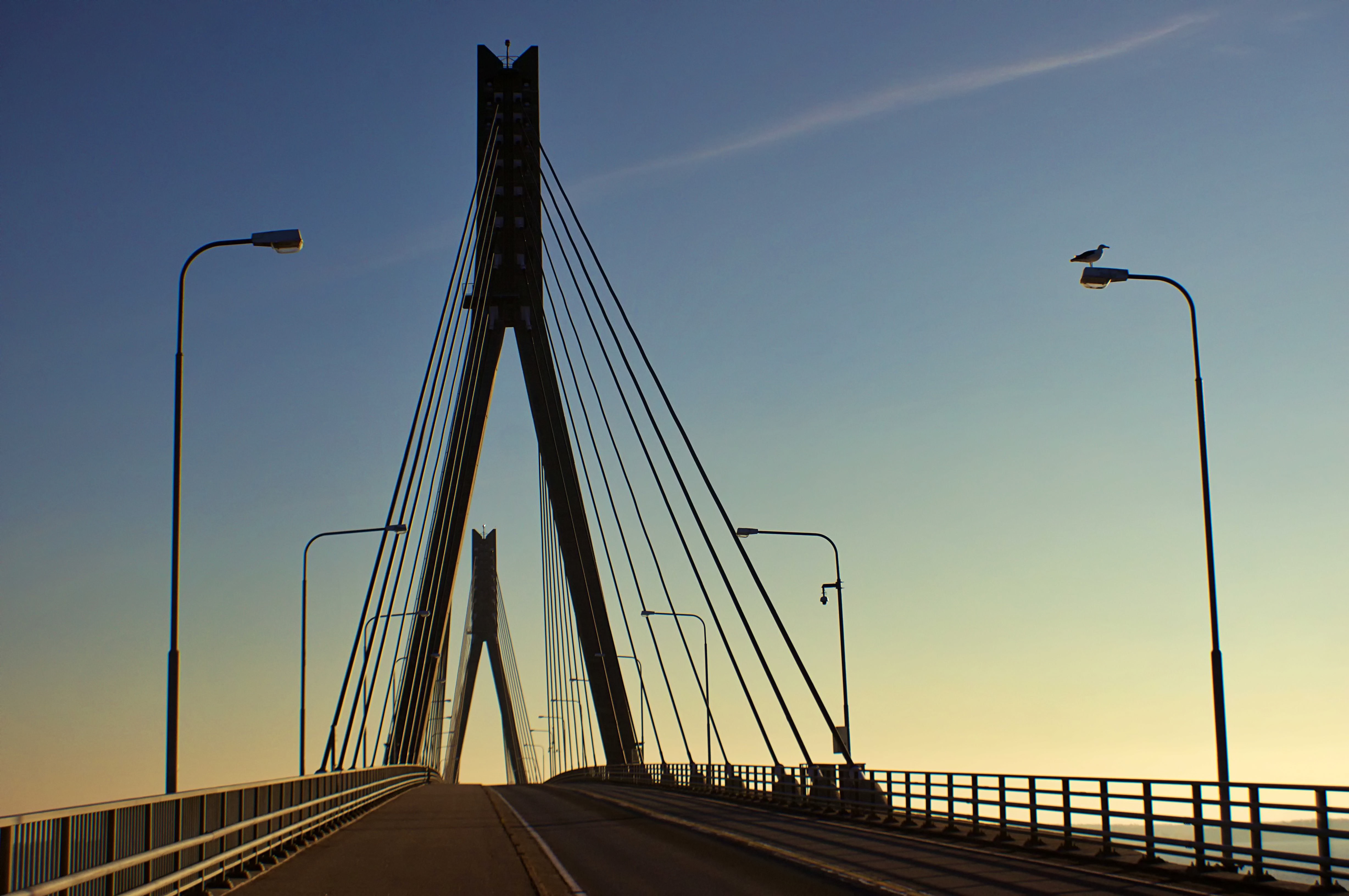 Copyright Hill & Spruce